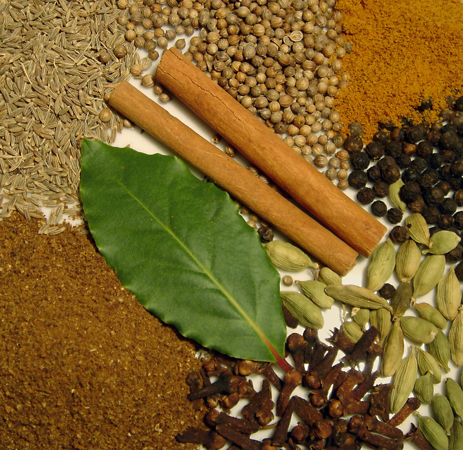 Garam masala Bio